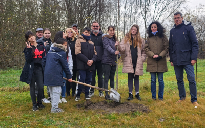 Faültetés és virágosítás az Iskola közben
