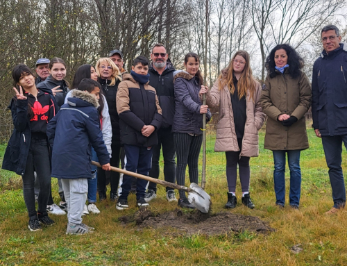 Faültetés és virágosítás az Iskola közben